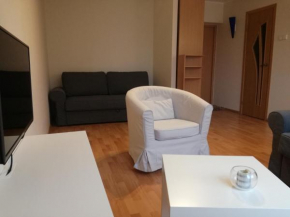 Apartment for rent, Druskininkai